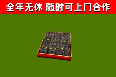 集美区回收海参